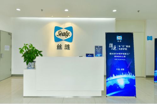 乐享蜀梦 探寻天府之国的安适生活与惬意工艺